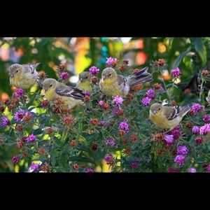 Meet your Posher, Julie